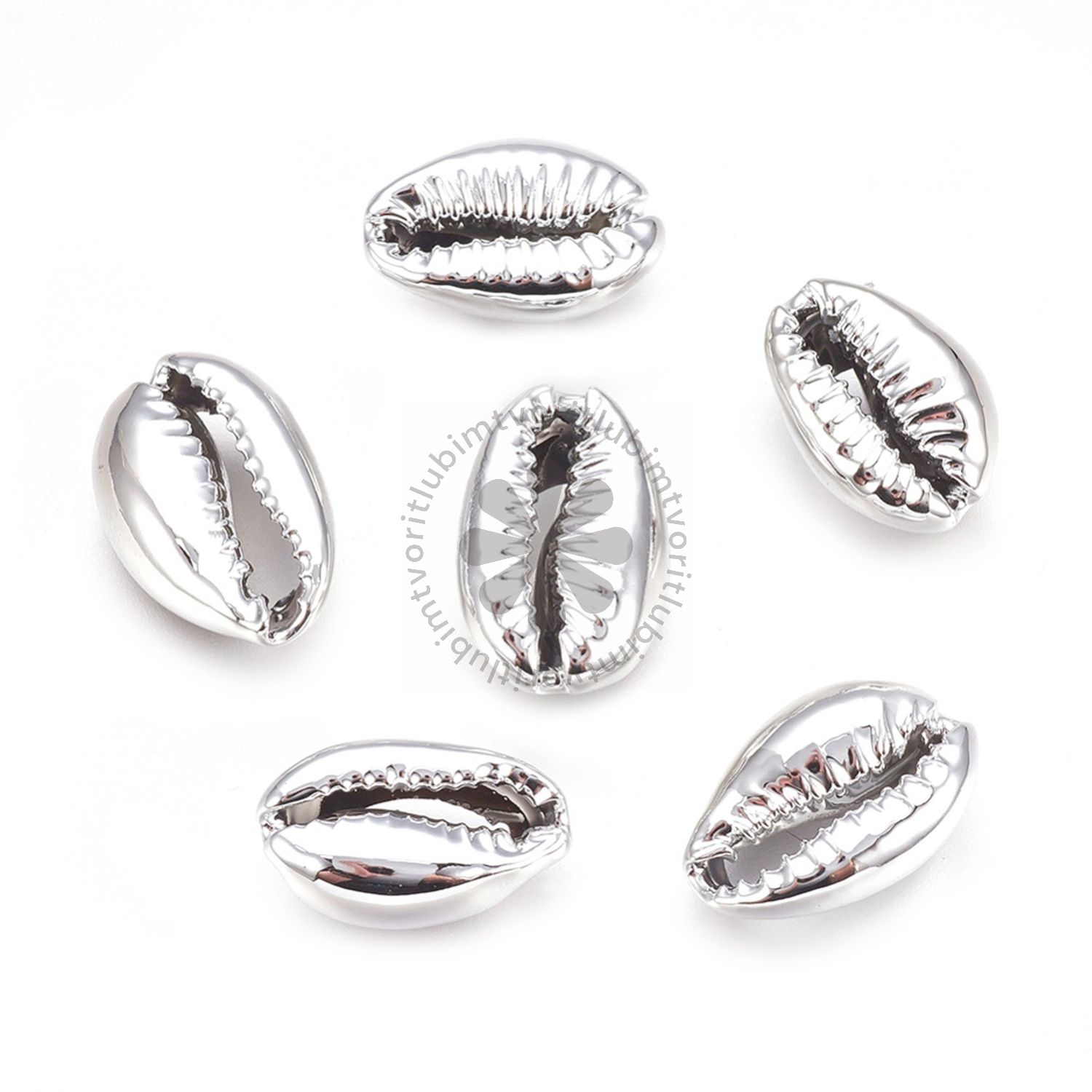 Prírodné mušle, cca 15x10 mm - 1 ks