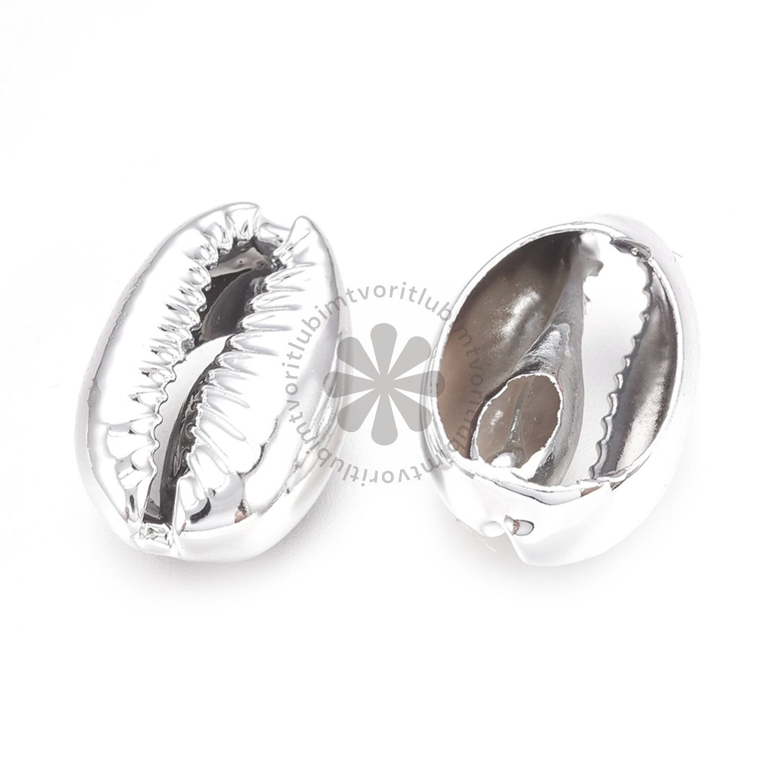 Prírodné mušle, cca 15x10 mm - 1 ks
